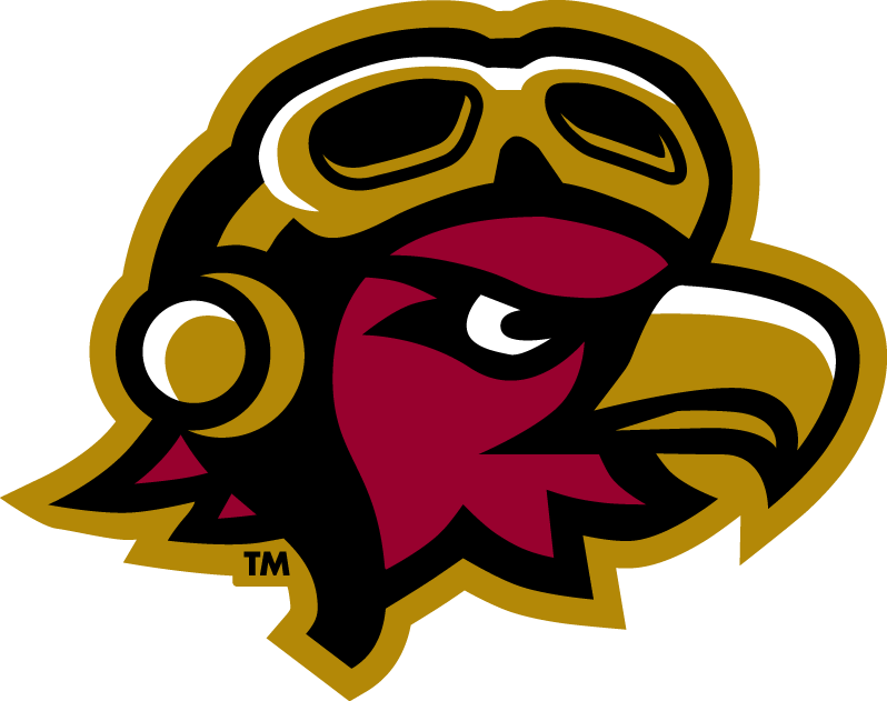 Louisiana-Monroe Warhawks 2006-Pres Misc Logo v4 diy DTF decal sticker